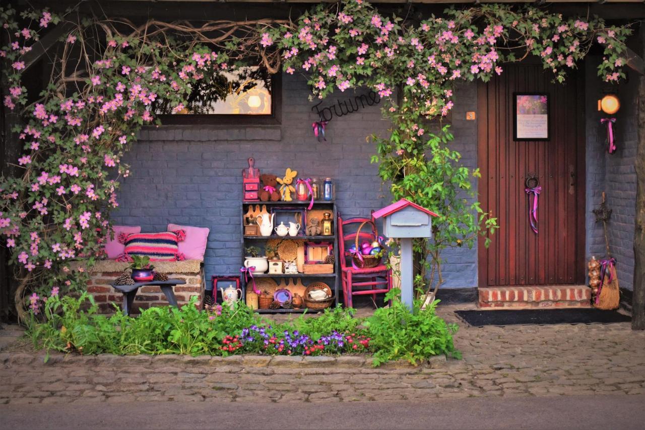 Maison Jeanny, Full House With Big Garden Frasnes-lez-Anvaing Luaran gambar