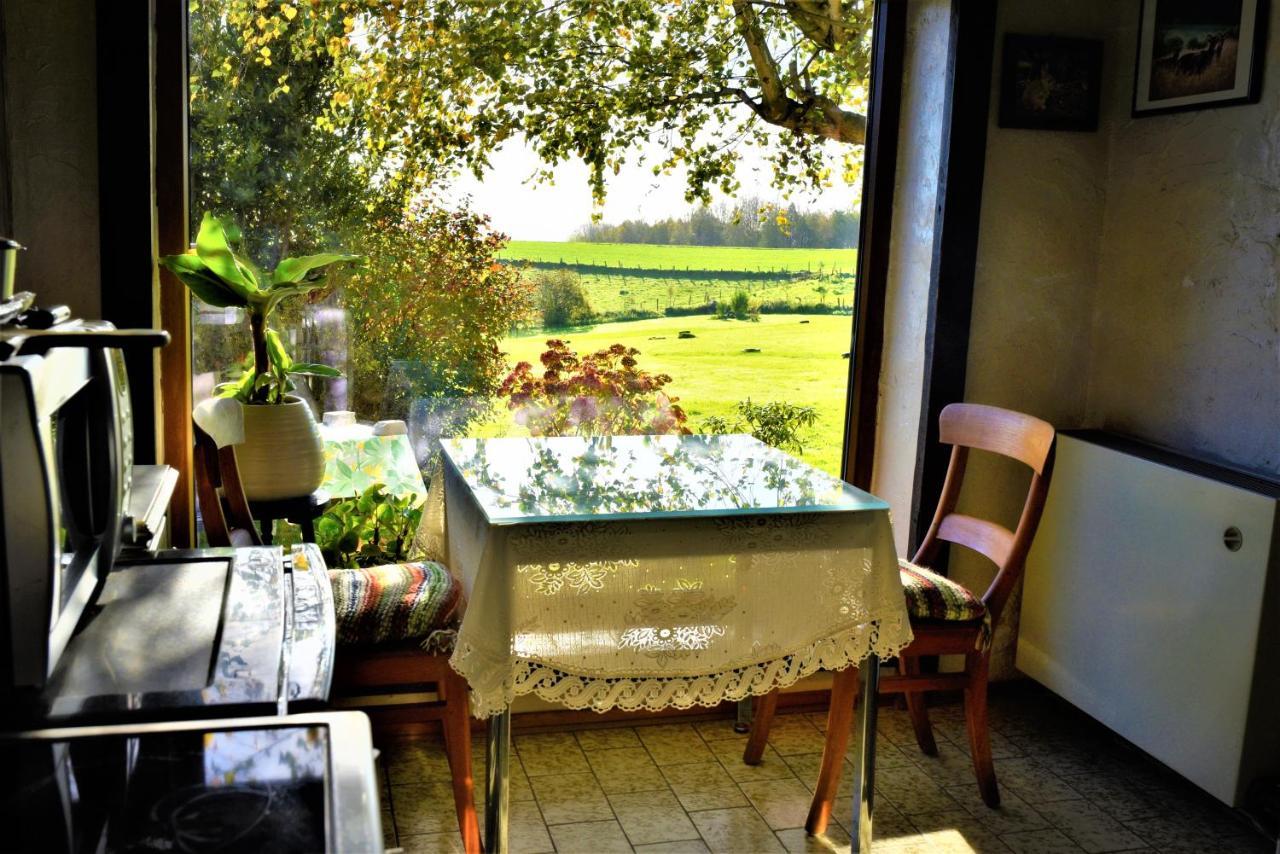Maison Jeanny, Full House With Big Garden Frasnes-lez-Anvaing Luaran gambar