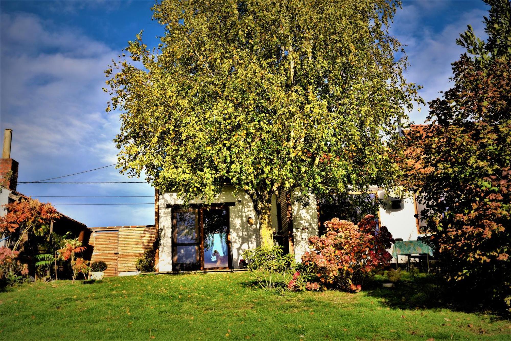 Maison Jeanny, Full House With Big Garden Frasnes-lez-Anvaing Luaran gambar